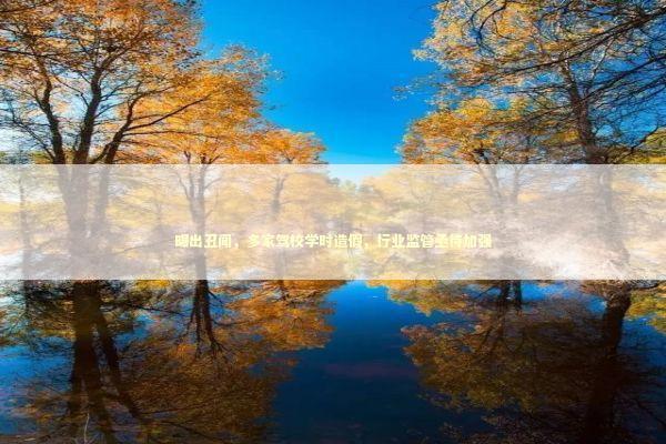 曝出丑闻，多家驾校学时造假，行业监管亟待加强