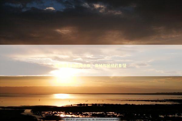 美国国会大厦降半旗，哀悼与团结的象征