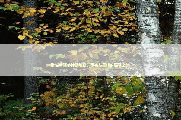 辟谣新疆喀什建地铁，事实与真相的探寻之旅