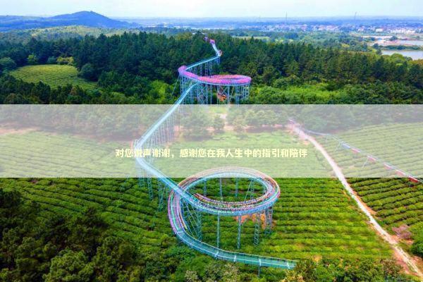 对您说声谢谢，感谢您在我人生中的指引和陪伴