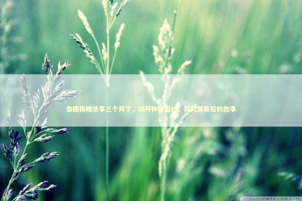 泰国拆婚法事三个月了,揭开神秘面纱,探究其背后的故事 泰国拆婚法事三个月了,揭开神秘面纱,探究其背后的故事 感情姻缘的佛牌有几种