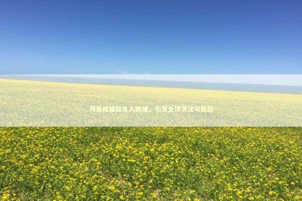 丹麦反捕鲸名人被捕，引发全球关注与反思 感情姻缘的佛牌有几种