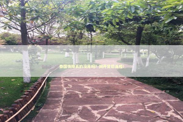 泰国情降真的没用吗？揭开背后真相！