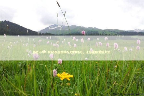 感激不尽！揭秘泰国情降见效的时间，让你重拾爱情火焰！ 感情姻缘的佛牌有几种