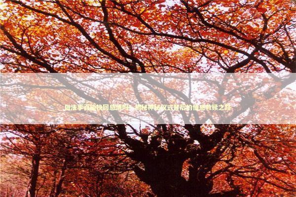 做法事真能挽回感情吗？揭秘神秘仪式背后的情感救赎之路 感情姻缘的佛牌有几种