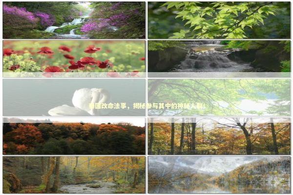 泰国改命法事,揭秘参与其中的神秘人群! 泰国改命法事,揭秘参与其中的神秘人群! 感情姻缘的佛牌有几种