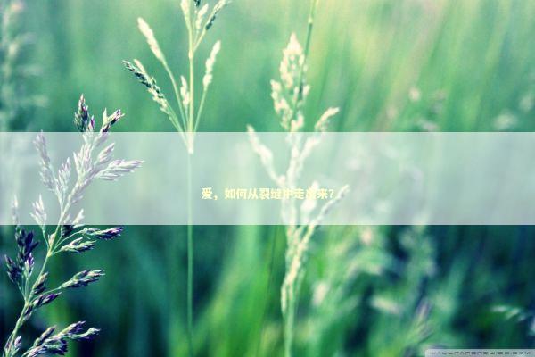 爱，如何从裂缝中走出来？ 感情姻缘的佛牌有几种