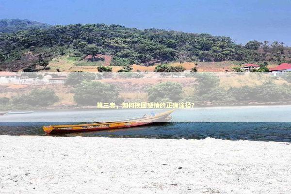 第三者,如何挽回感情的正确途径? 第三者,如何挽回感情的正确途径? 感情姻缘的佛牌有几种