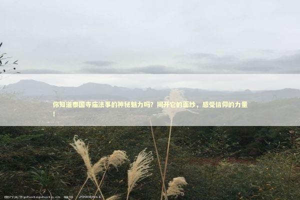 你知道泰国寺庙法事的神秘魅力吗？揭开它的面纱，感受信仰的力量！ 感情姻缘的佛牌有几种