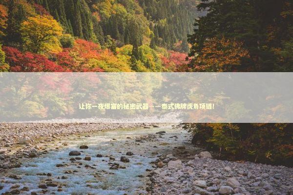 让你一夜爆富的秘密武器——泰式佛牌虎角项链！ 感情姻缘的佛牌有几种