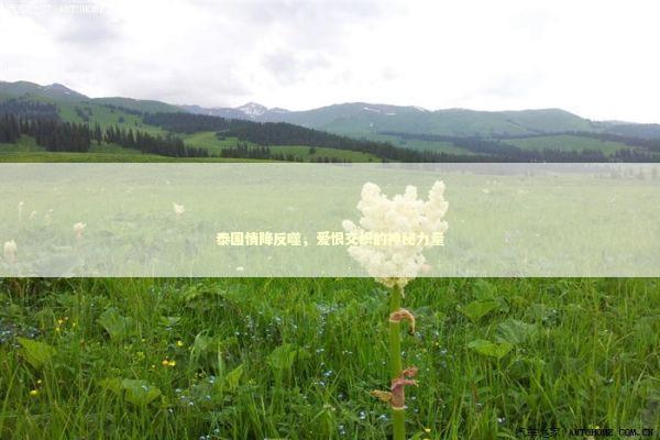 泰国情降反噬，爱恨交织的神秘力量 感情姻缘的佛牌有几种