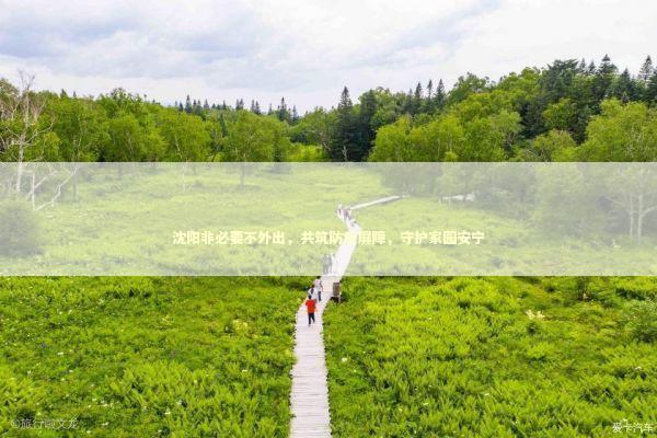 沈阳非必要不外出，共筑防疫屏障，守护家园安宁