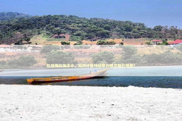 在感情的海洋中，如何才能找回那份被忽略的情感？ 感情姻缘的佛牌有几种