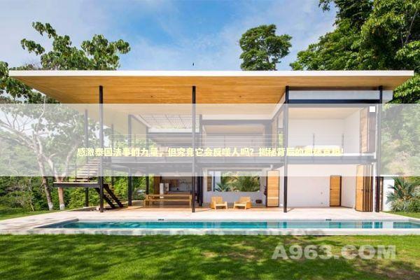 感激泰国法事的力量，但究竟它会反噬人吗？揭秘背后的神秘真相！ 感情姻缘的佛牌有几种