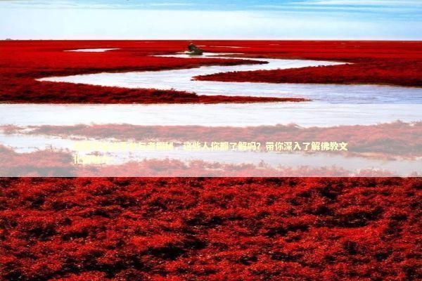 泰国寺庙法事参与者揭秘，这些人你都了解吗？带你深入了解佛教文化的魅力！ 泰国情降法事