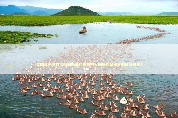 泰国法事真的能挽回失去的爱情吗？揭秘神秘法事的背后真相！ 泰国情降法事