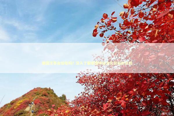 泰国法事会反噬吗？深入了解泰国神秘文化背后的真相 泰国情降法事