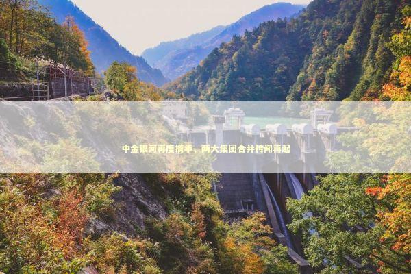 中金银河再度携手，两大集团合并传闻再起 感情姻缘的佛牌有几种