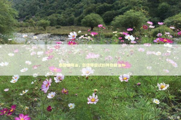 泰国情降油,您值得尝试的神奇精油! 泰国情降油,您值得尝试的神奇精油! 泰国情降法事