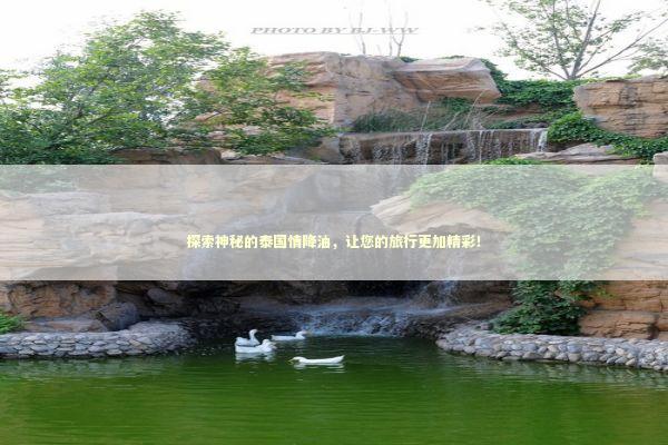 探索神秘的泰国情降油,让您的旅行更加精彩! 探索神秘的泰国情降油,让您的旅行更加精彩! 感情姻缘的佛牌有几种