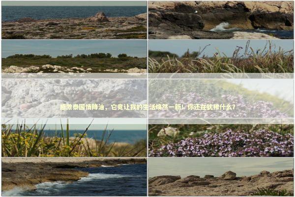 感激泰国情降油，它竟让我的生活焕然一新！你还在犹豫什么？ 感情姻缘的佛牌有几种