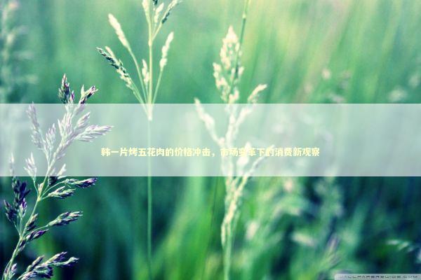 韩一片烤五花肉的价格冲击,市场变革下的消费新观察 韩一片烤五花肉的价格冲击,市场变革下的消费新观察 泰国情降法事