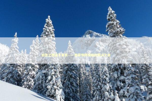 感激之情溢于言表——泰国情降反噬的解决之道 感情姻缘的佛牌有几种