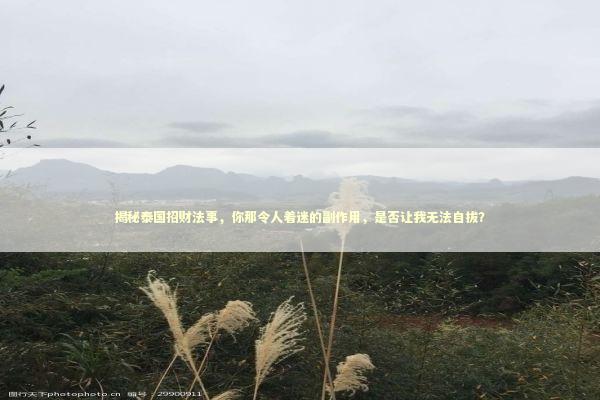 揭秘泰国招财法事，你那令人着迷的副作用，是否让我无法自拔？ 感情姻缘的佛牌有几种