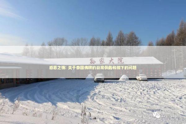 感恩之情: 关于泰国佛牌的日常佩戴和摘下的问题 感恩之情: 关于泰国佛牌的日常佩戴和摘下的问题 感情姻缘的佛牌有几种