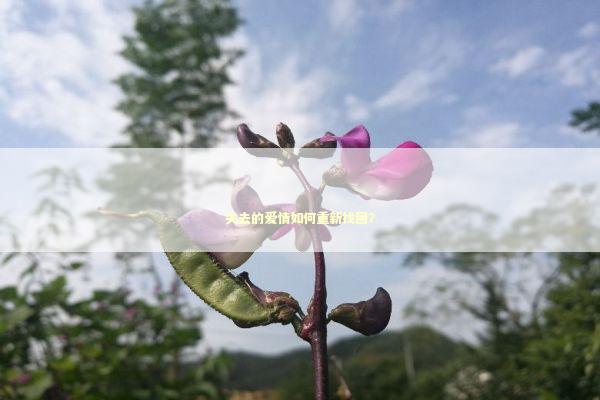 失去的爱情如何重新找回? 失去的爱情如何重新找回? 泰国情降法事