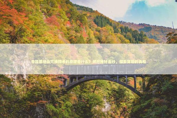 泰国墓地血咒情降术的原理是什么？揭开神秘面纱，探索背后的真相！ 泰国情降法事