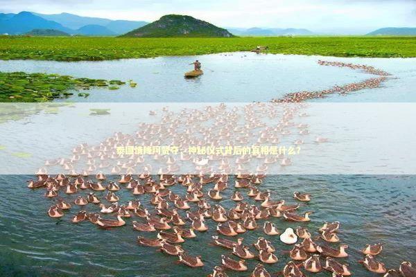 泰国情降阿赞夺，神秘仪式背后的真相是什么？ 泰国情降法事