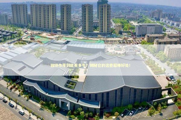 独特作用到底有多牛？揭秘它的这些超棒好处！ 感情姻缘的佛牌有几种