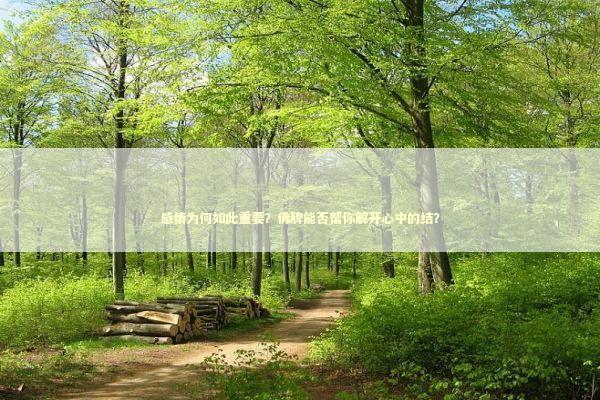 感情为何如此重要？佛牌能否帮你解开心中的结？ 感情姻缘的佛牌有几种