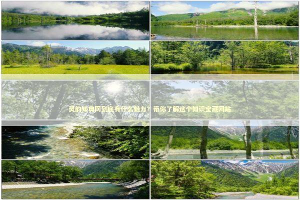 灵韵知典网到底有什么魅力？带你了解这个知识宝藏网站 感情姻缘的佛牌有几种