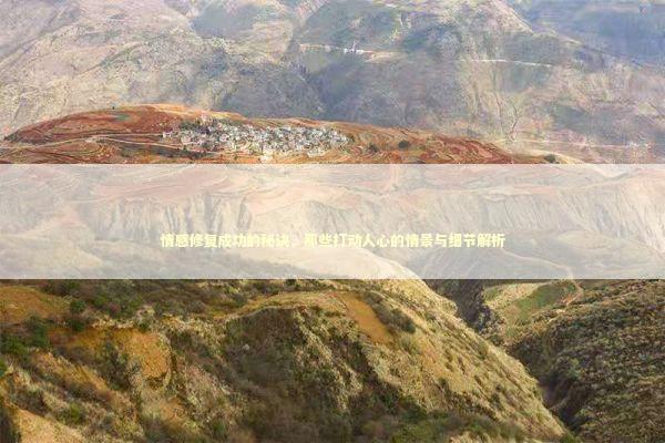 情感修复成功的秘诀，那些打动人心的情景与细节解析 感情姻缘的佛牌有几种