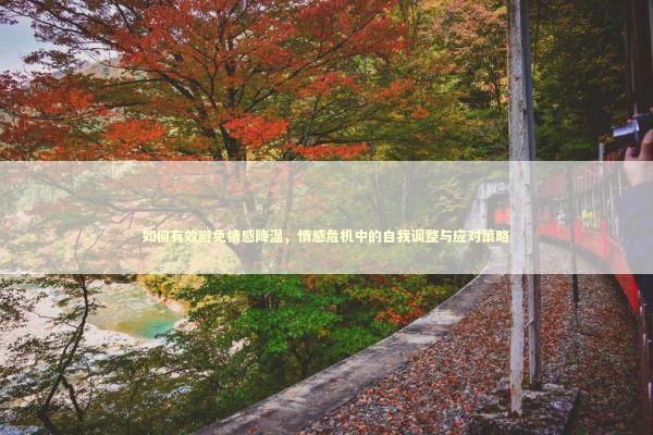 如何有效避免情感降温，情感危机中的自我调整与应对策略 感情姻缘的佛牌有几种